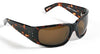 Tortoise / Bronze Polarized